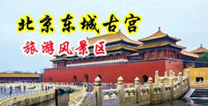蜜穴传媒中国北京-东城古宫旅游风景区