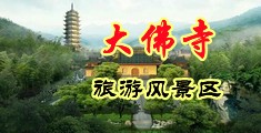 大鸡巴大屁股操逼视频中国浙江-新昌大佛寺旅游风景区